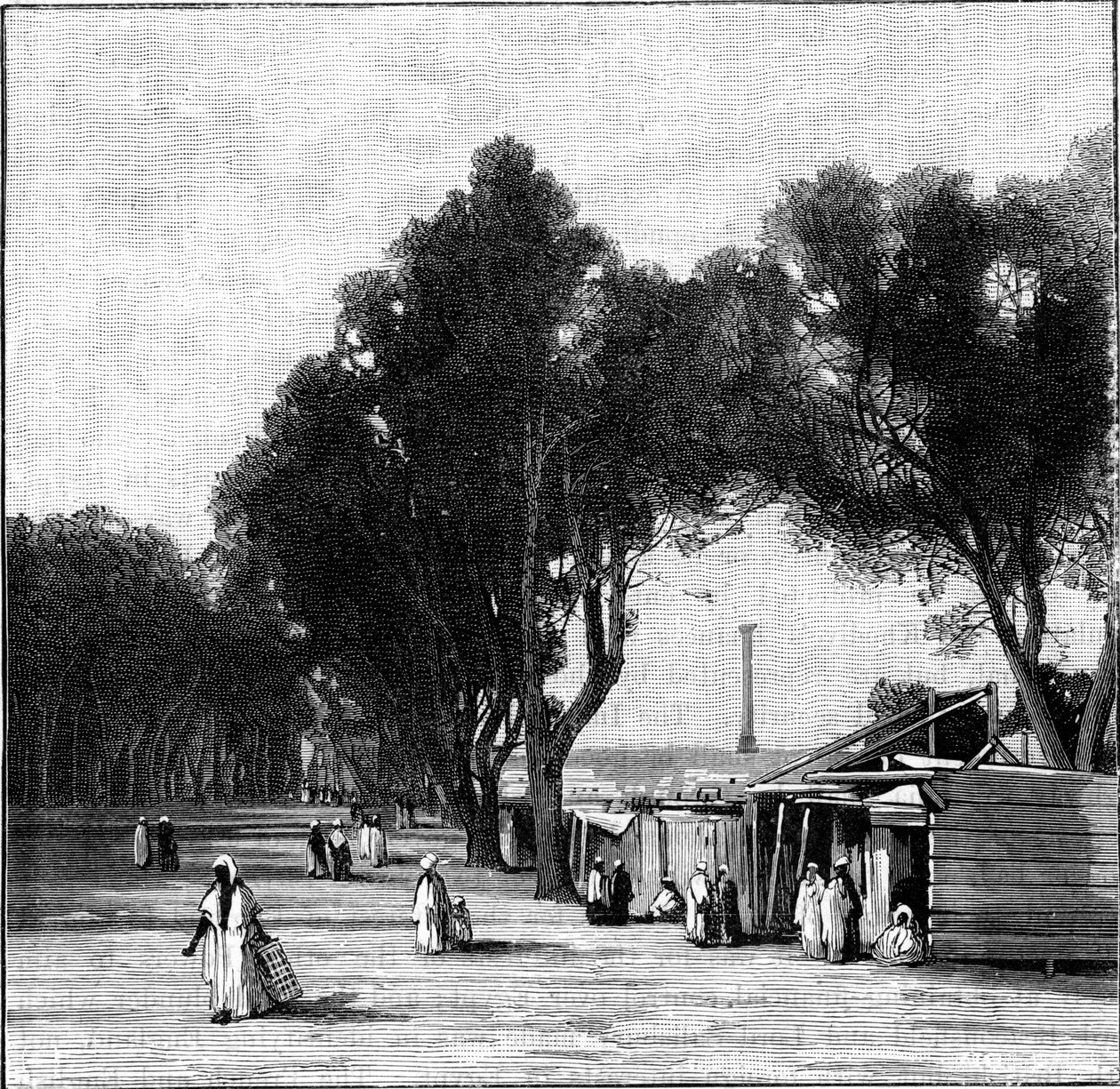 Street scene with Pompeys Pillar in the distance, Alexandria, Egypt by Unbekannt