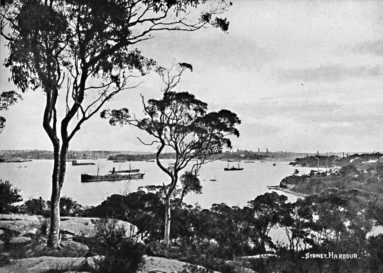 Sydney Harbour, from Cremorne Point by Unbekannt