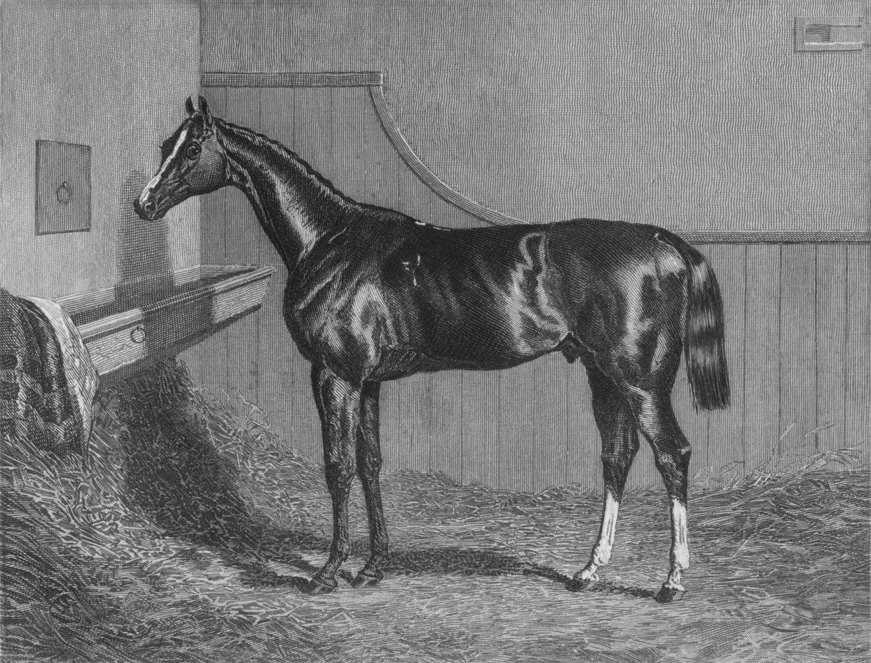 The Rt. Hon. The Earl of Lichfield