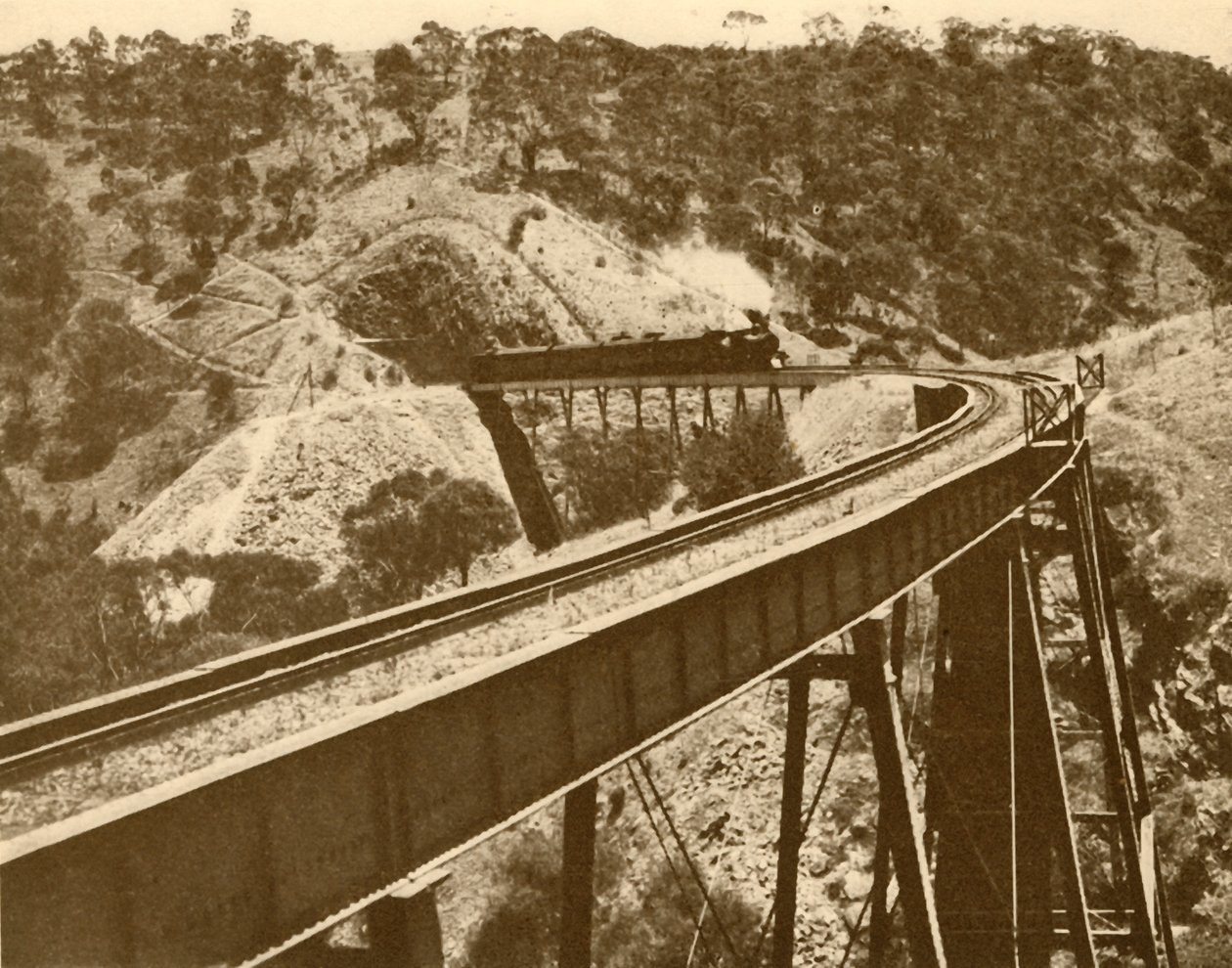 Train Passing Over Viaduct, Mount Lofty Range, South Australia by Unbekannt