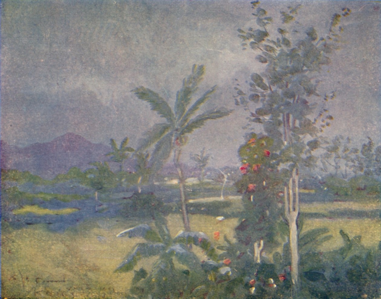 Tropical Rains in the West Indies by Unbekannt