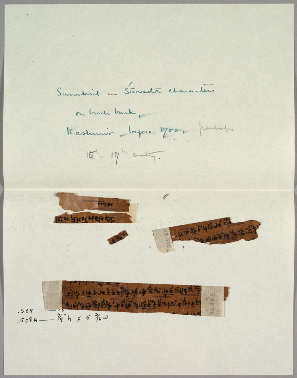 Two Fragments of Bark with Sanskrit, before 1700 by Unbekannt