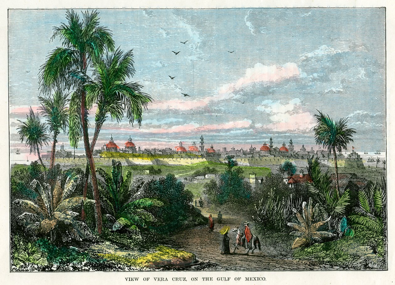 View of Vera Cruz, on the Gulf of Mexico, Mexico by Unbekannt