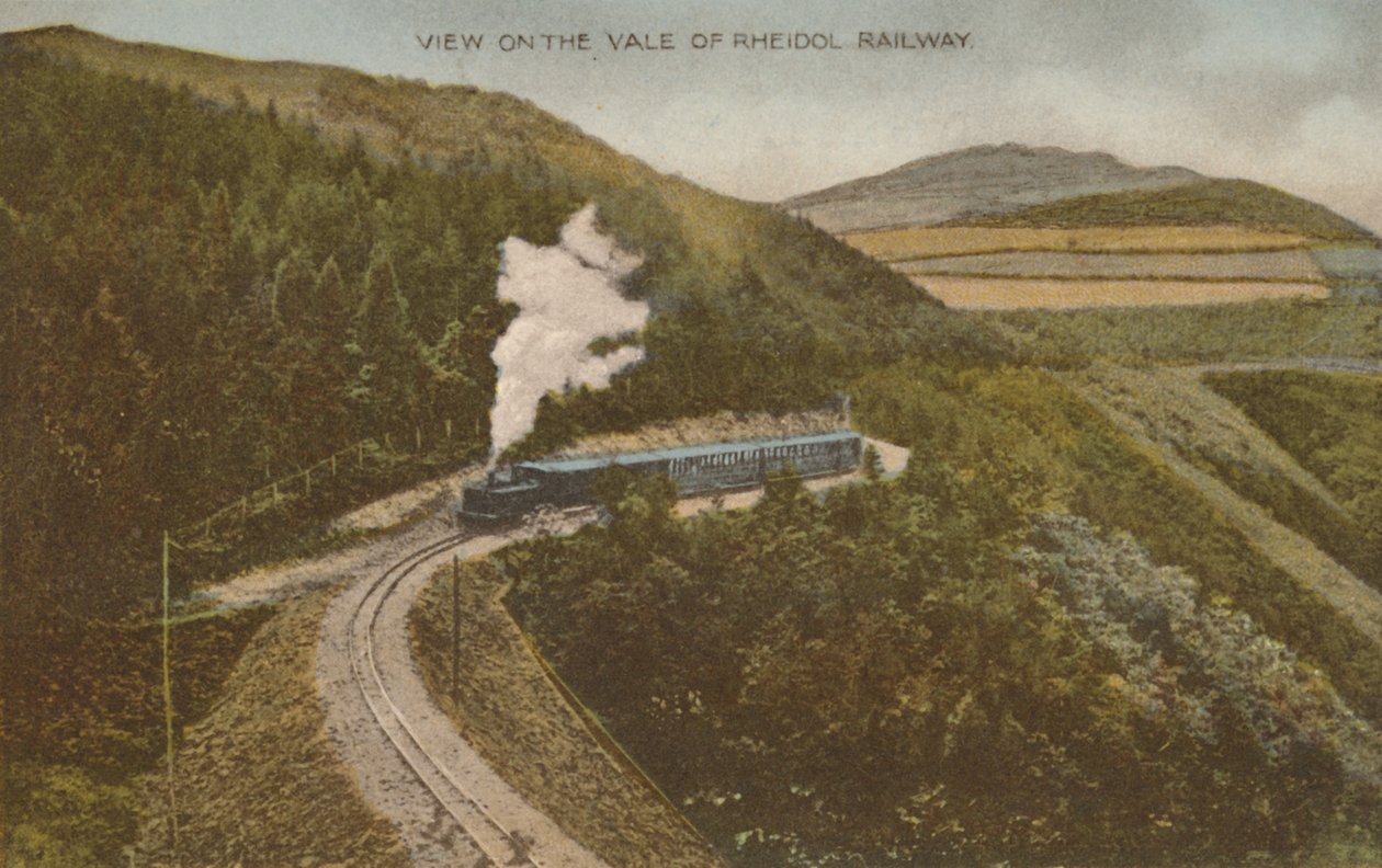 View on the Vale of Rheidol Railway, Early 20th Century by Unbekannt