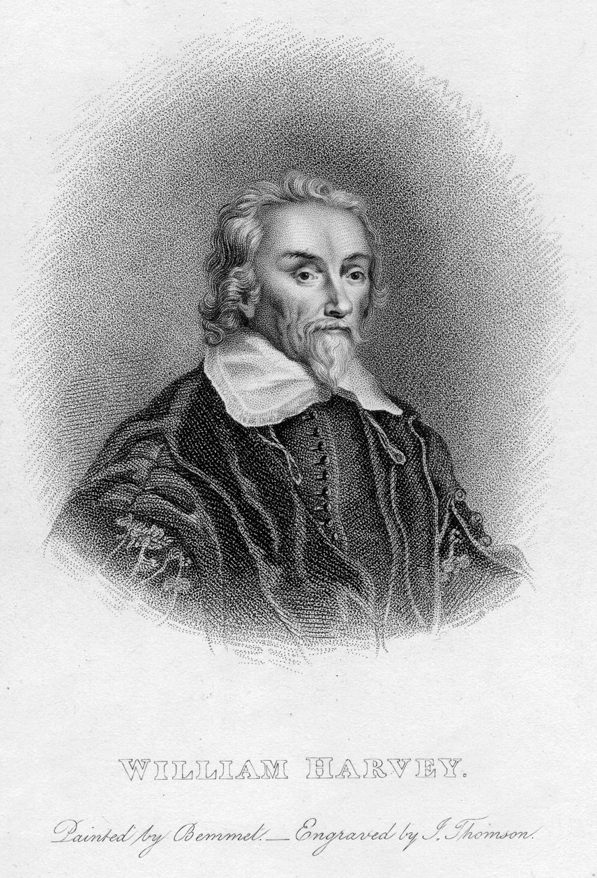 William Harvey 1578-1657 English physician by Unbekannt