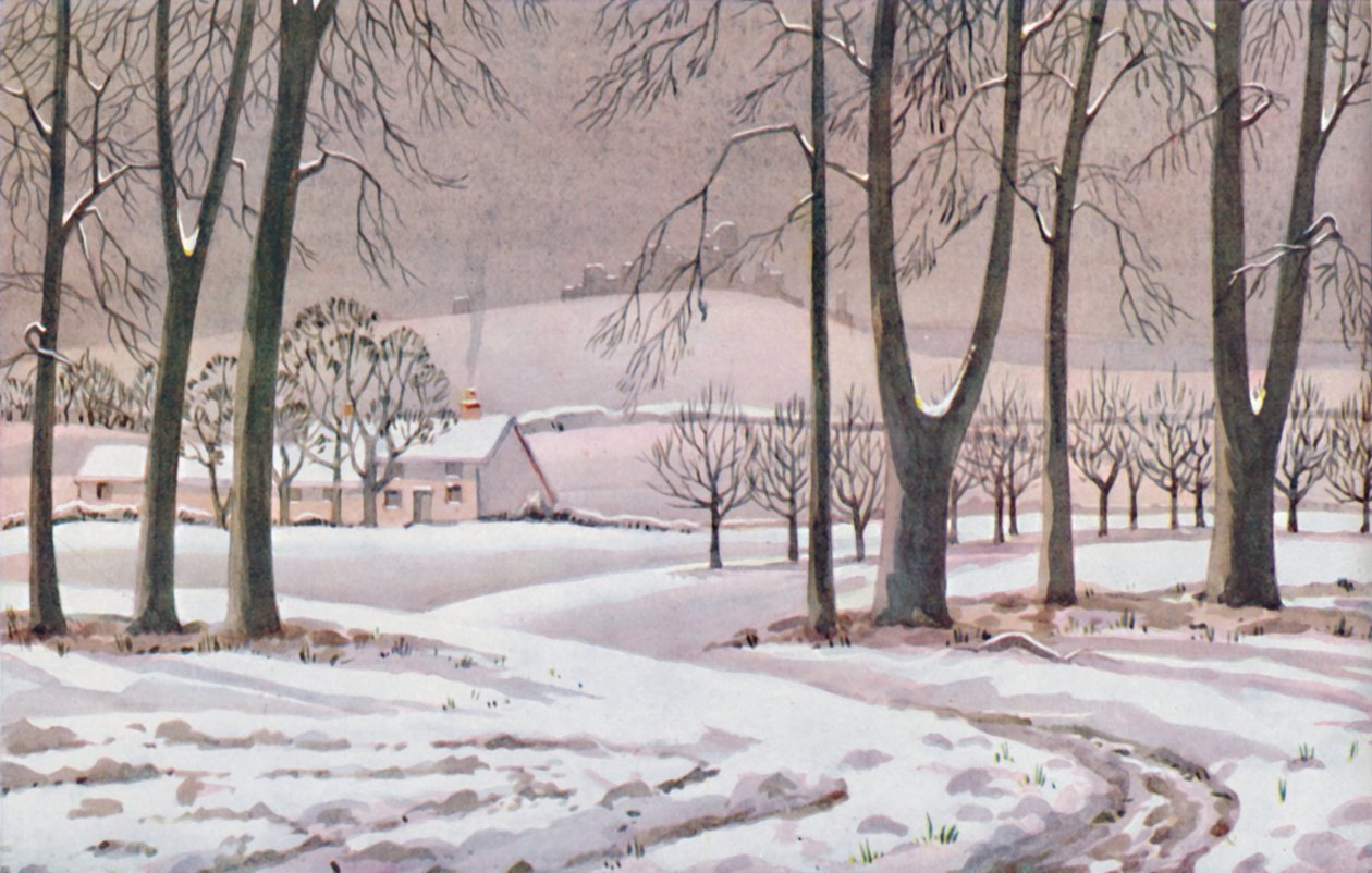 Winter - The Physical, Chemical and Biological Changes Wrought By The Sun During The Year, 1935 by Unbekannt
