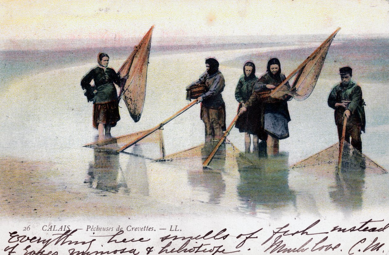 Women Shrimp Fishers, Calais, 1905 by Unbekannt