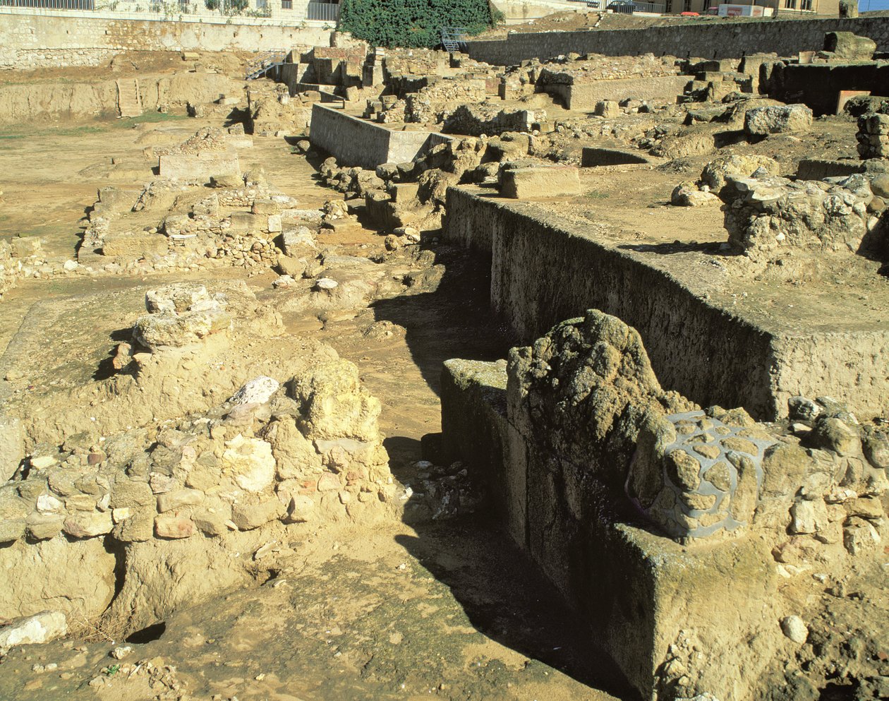 Archaeological Remains of the Greek Colony, 6th-5th Century BC by Unbekannt Unbekannt