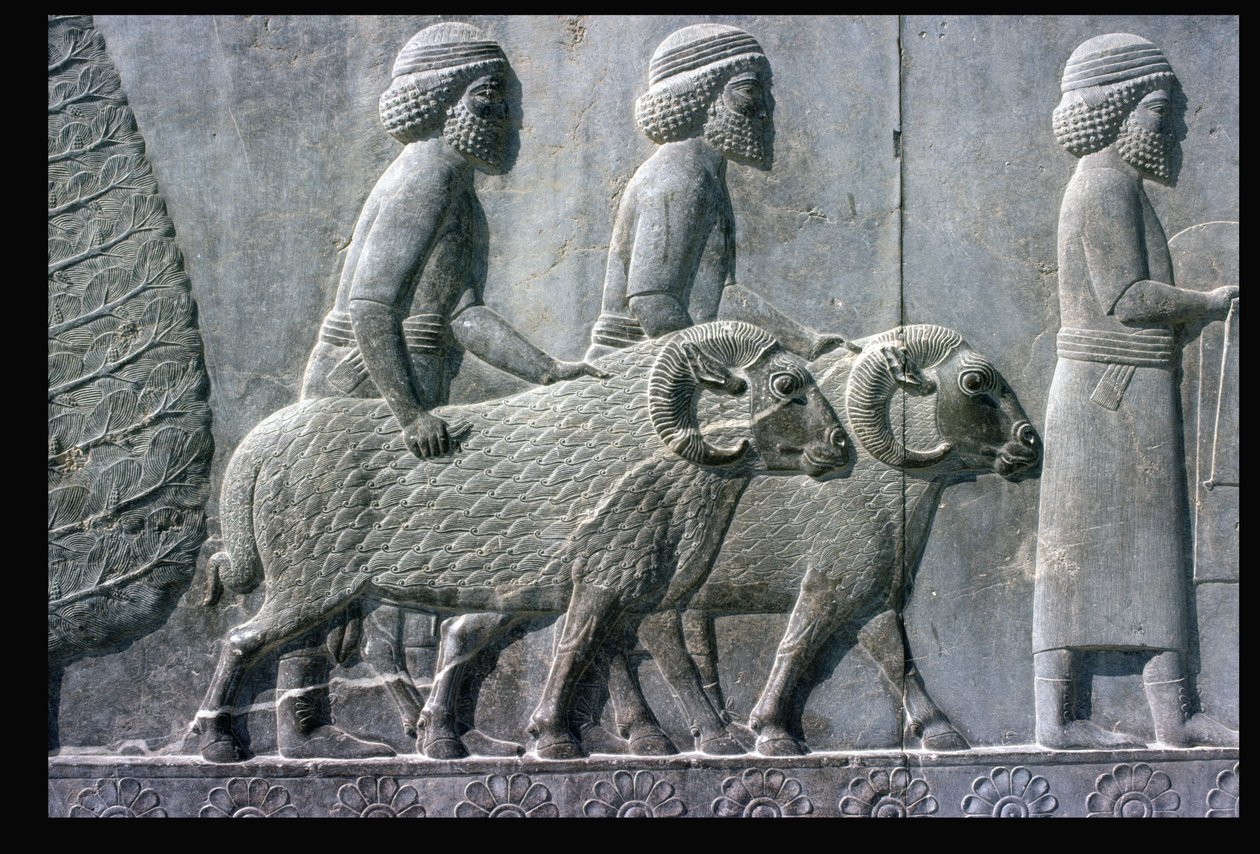 Detail of the Relief Frieze on the East Stairway to the Apadana by Unbekannt Unbekannt