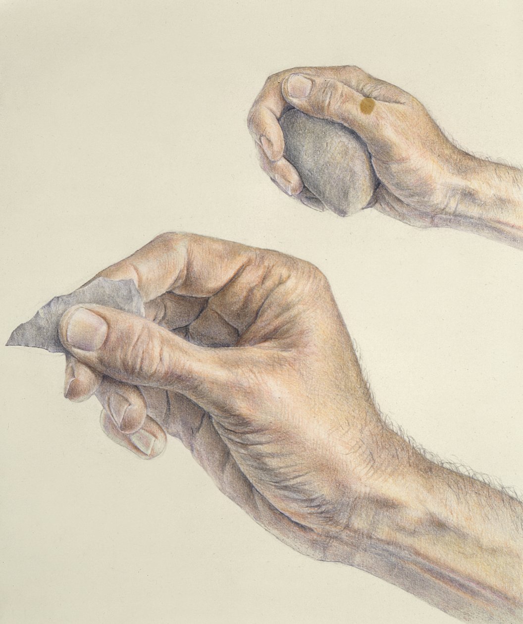 Hands holding a primitive tool and a stone by Unbekannt Unbekannt