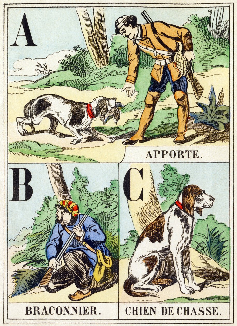 A B C: Fetch, Poacher, Hunting Dog - The Hunting Alphabet, c.1890 by Unbekannt