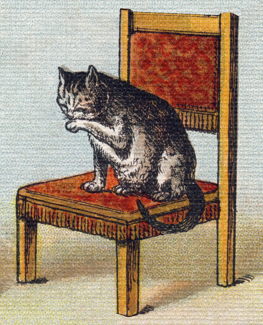 A cat on a chair. Engraving in "Alphabet de ma petite fille". Bernardin-Bechet and Fils, bookseller-publishers, Paris, around 1895 by Unbekannt