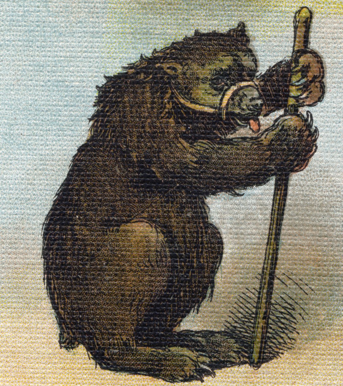 Bear by Unbekannt