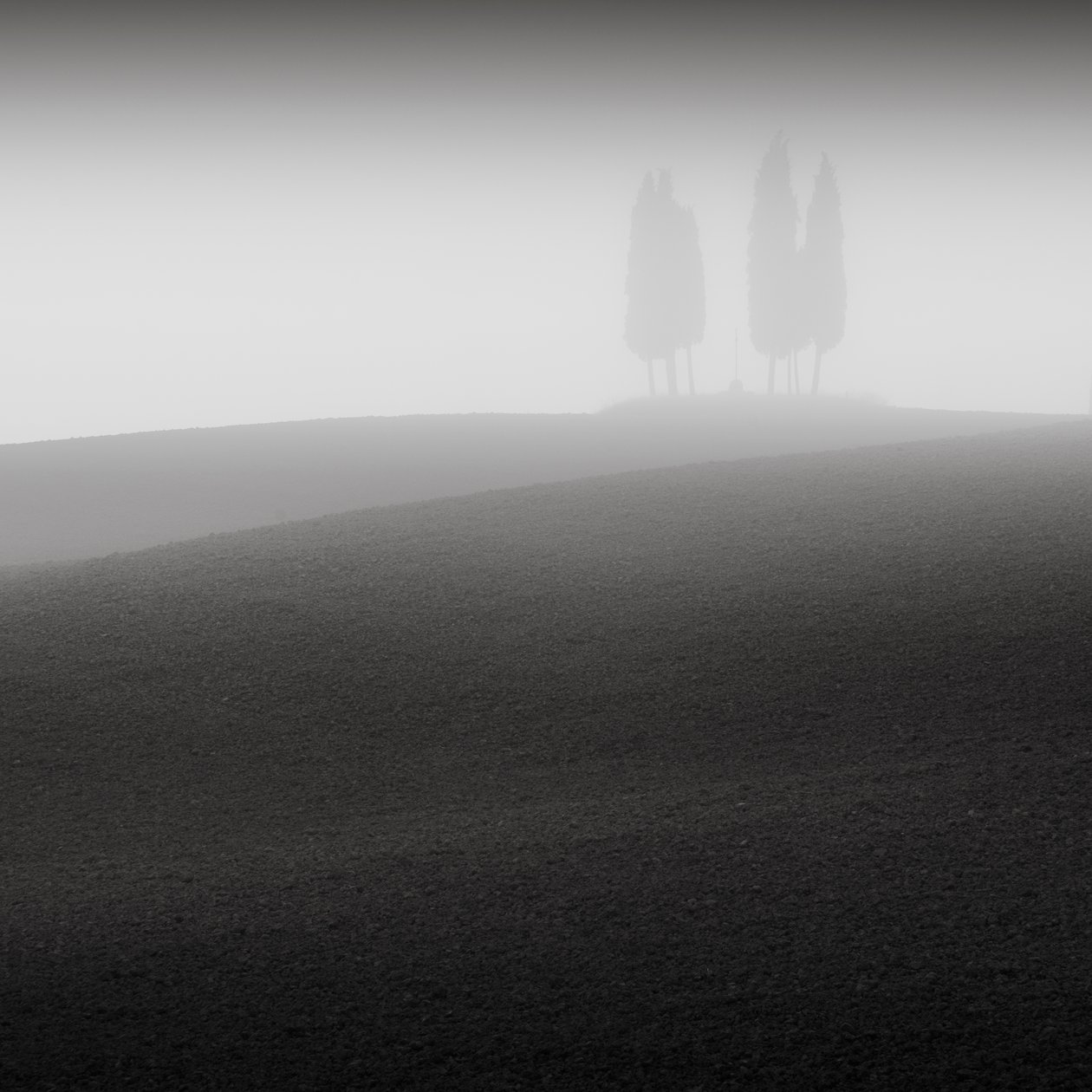 Conference, Tuscany, Italy, 2015 by Leopold Blonder
