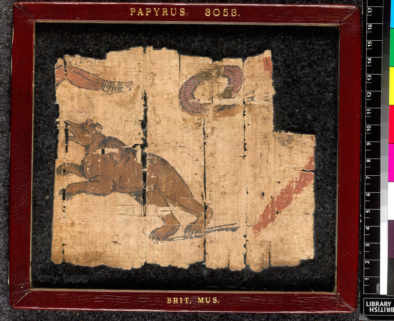Drawing of a bear in the arena by Unbekannter Künstler