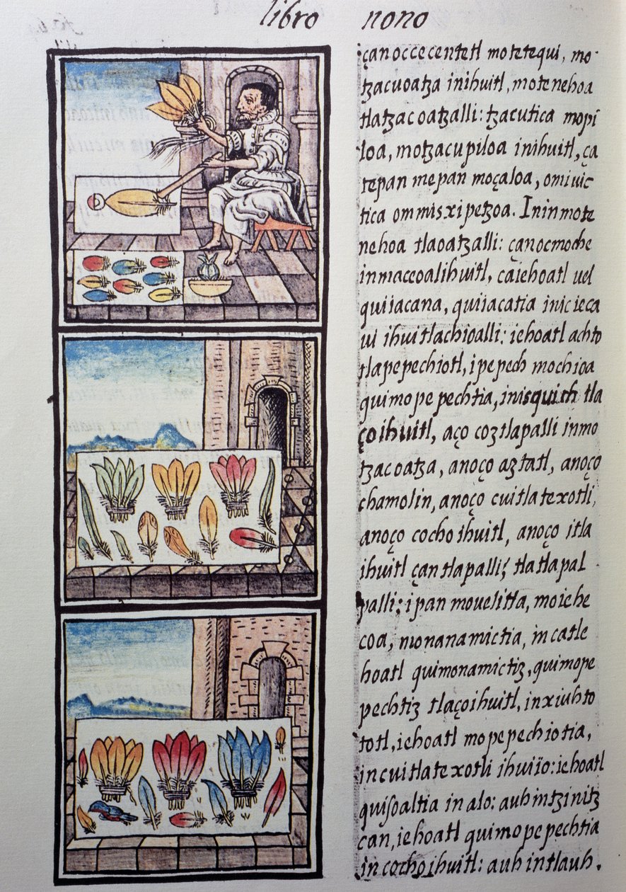 Feather processing after the Spanish conquest, page from Florentine Codex, General History of Things of New Spain, by Fray Bernardino de Sahagun by William M. Timlin
