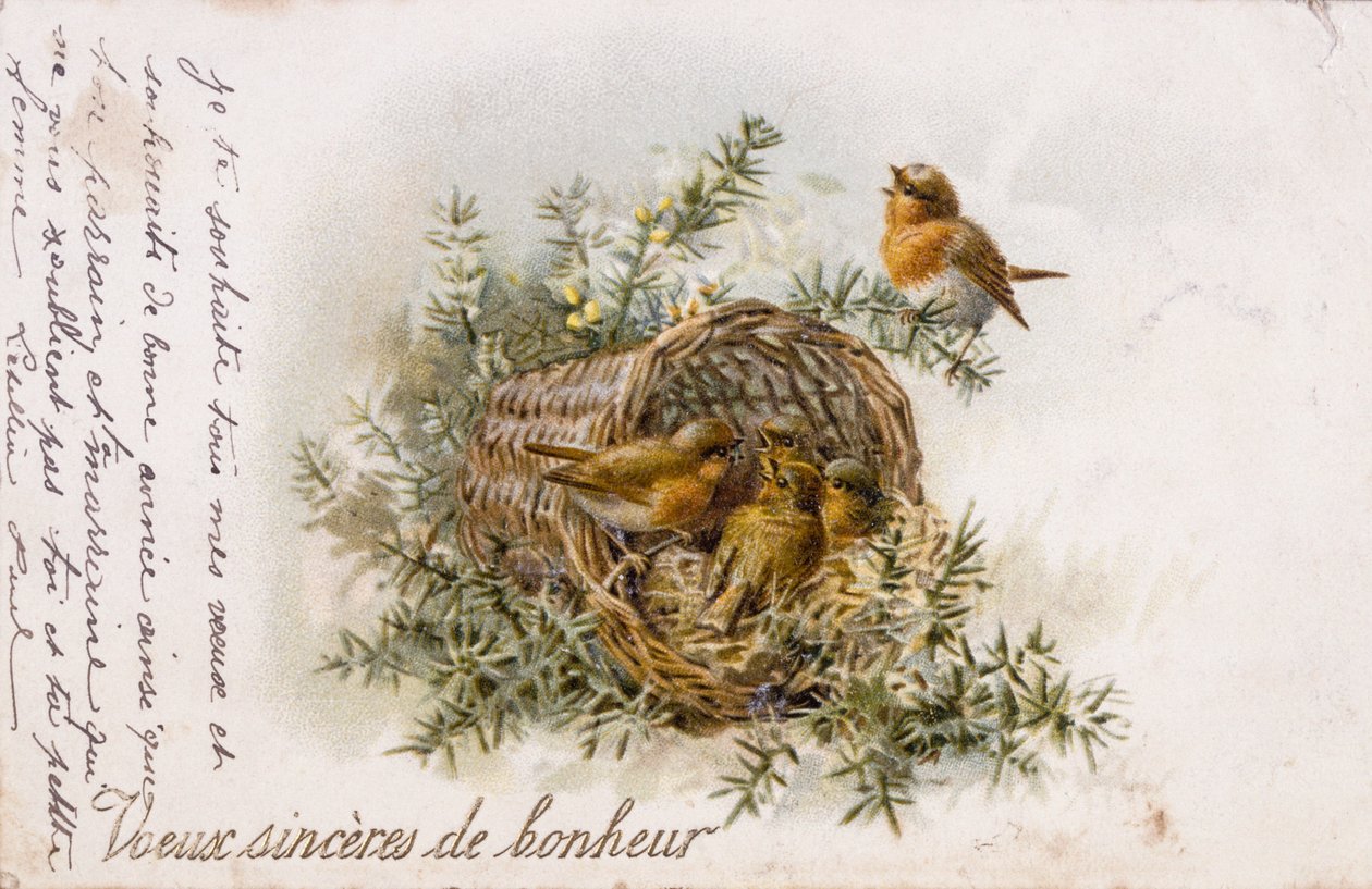French Greeting Card with Robin and Nest Elements by Unbekannter Künstler
