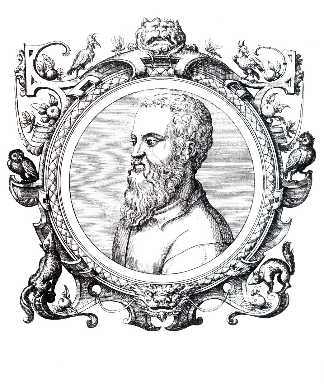 Guillaume Rondelet by Unbekannt