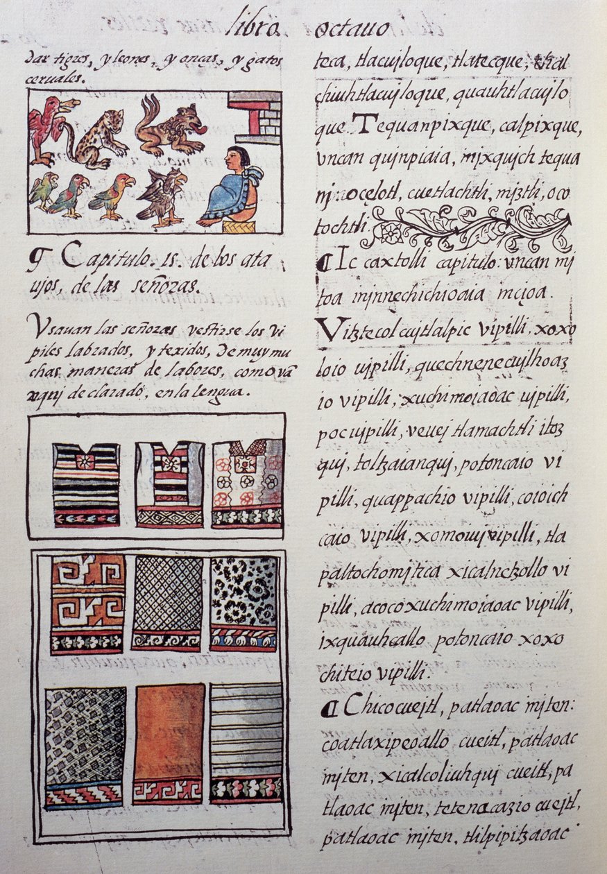 Huipil, Female Garment Worn by Nobility by William M. Timlin