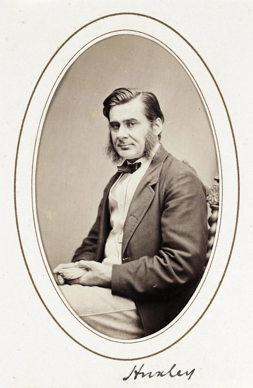 Huxley, c. 1865 by Unbekannt