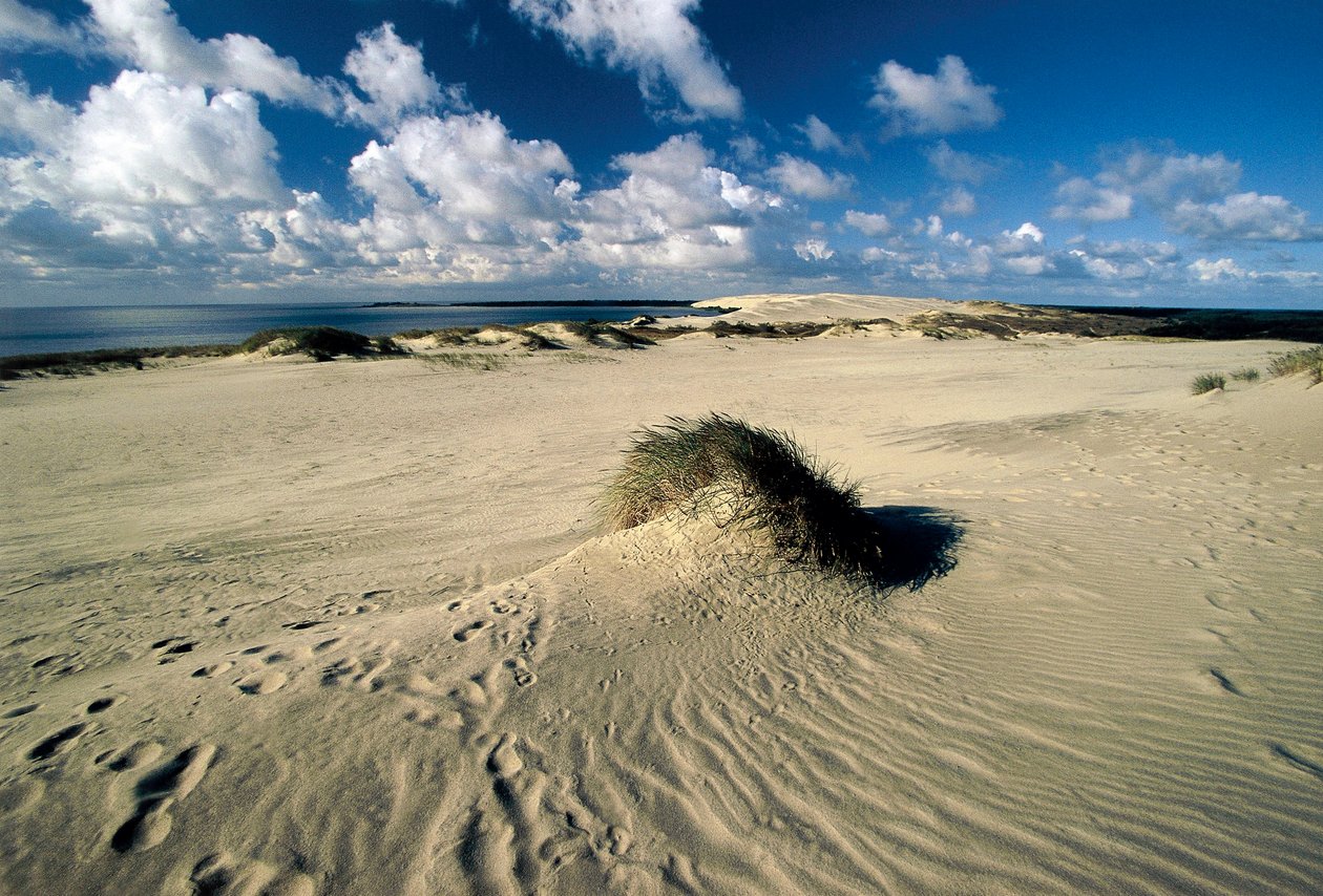 Moving sand dunes called Prussian Sahara, Curonian Spit, Nida by William M. Timlin