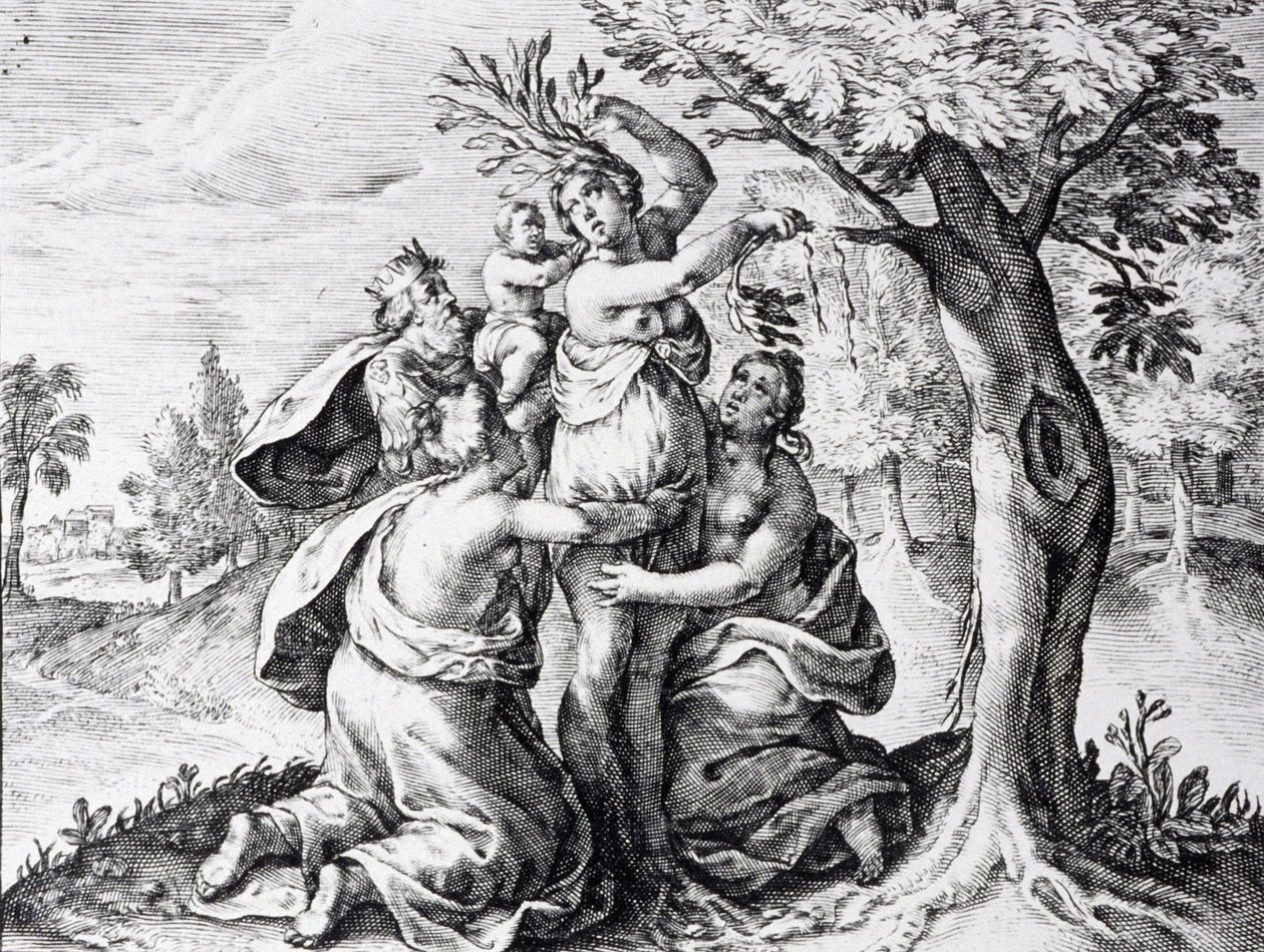 Mattei in Ovid