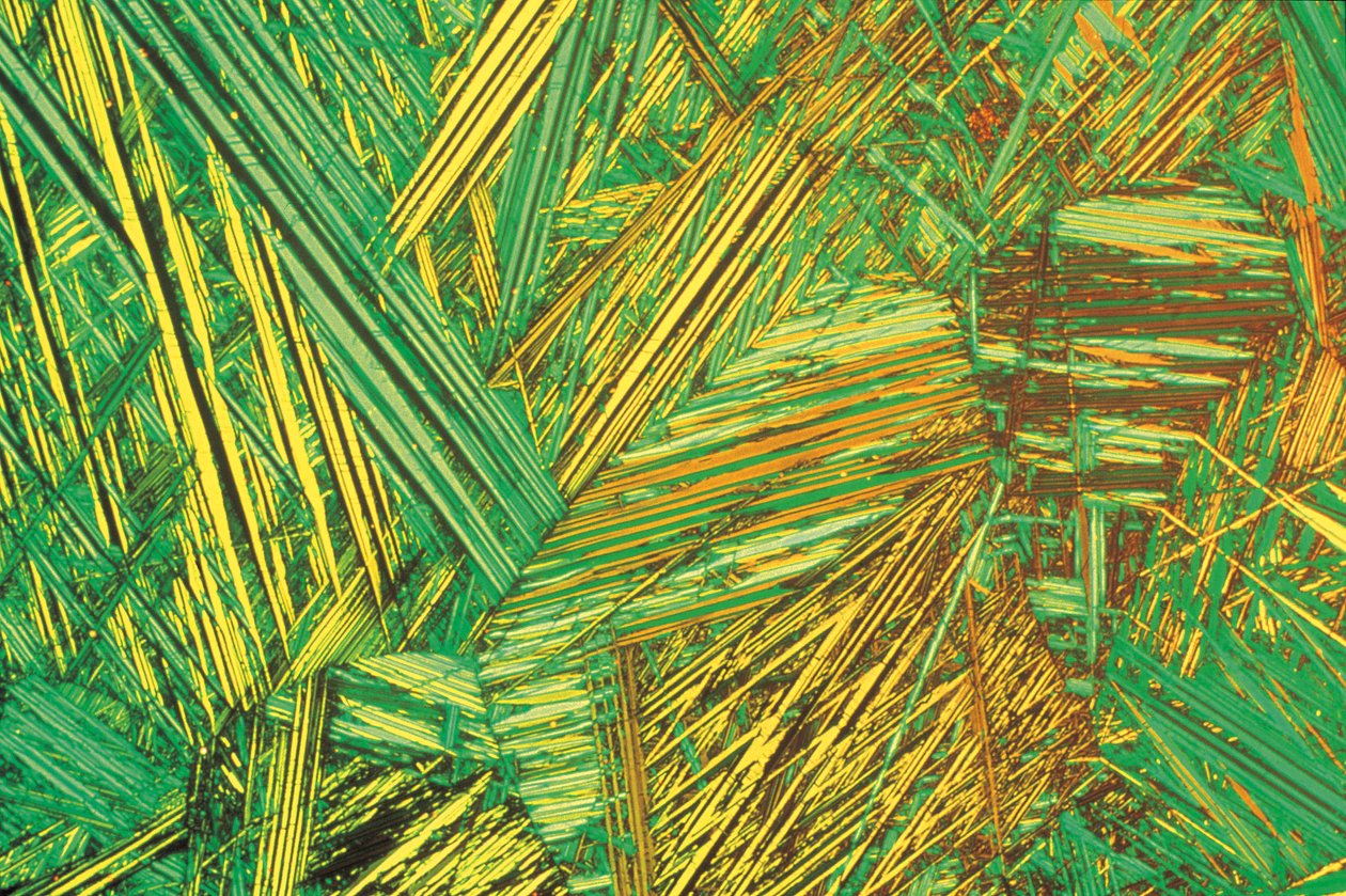 Micrographs (Light) Aluminium bronze, light micrograph by Unbekannt