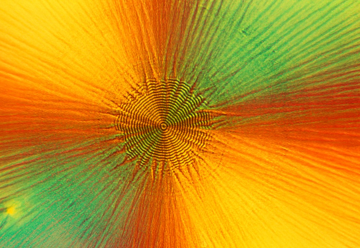 Micrographs (Light) Ascorbic acid, light micrograph by Unbekannt