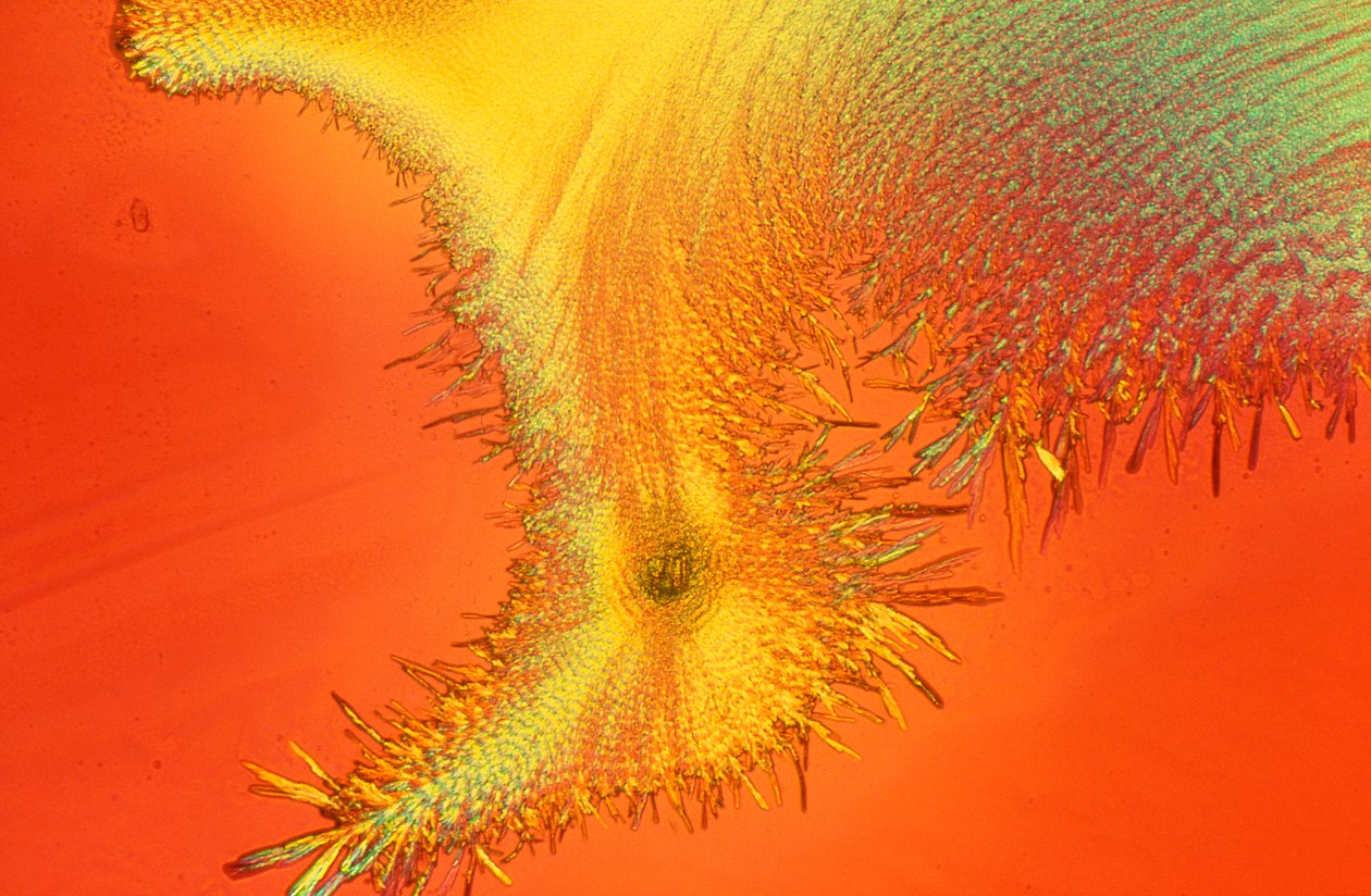 Sodium silicate, light micrograph by Unbekannter Künstler