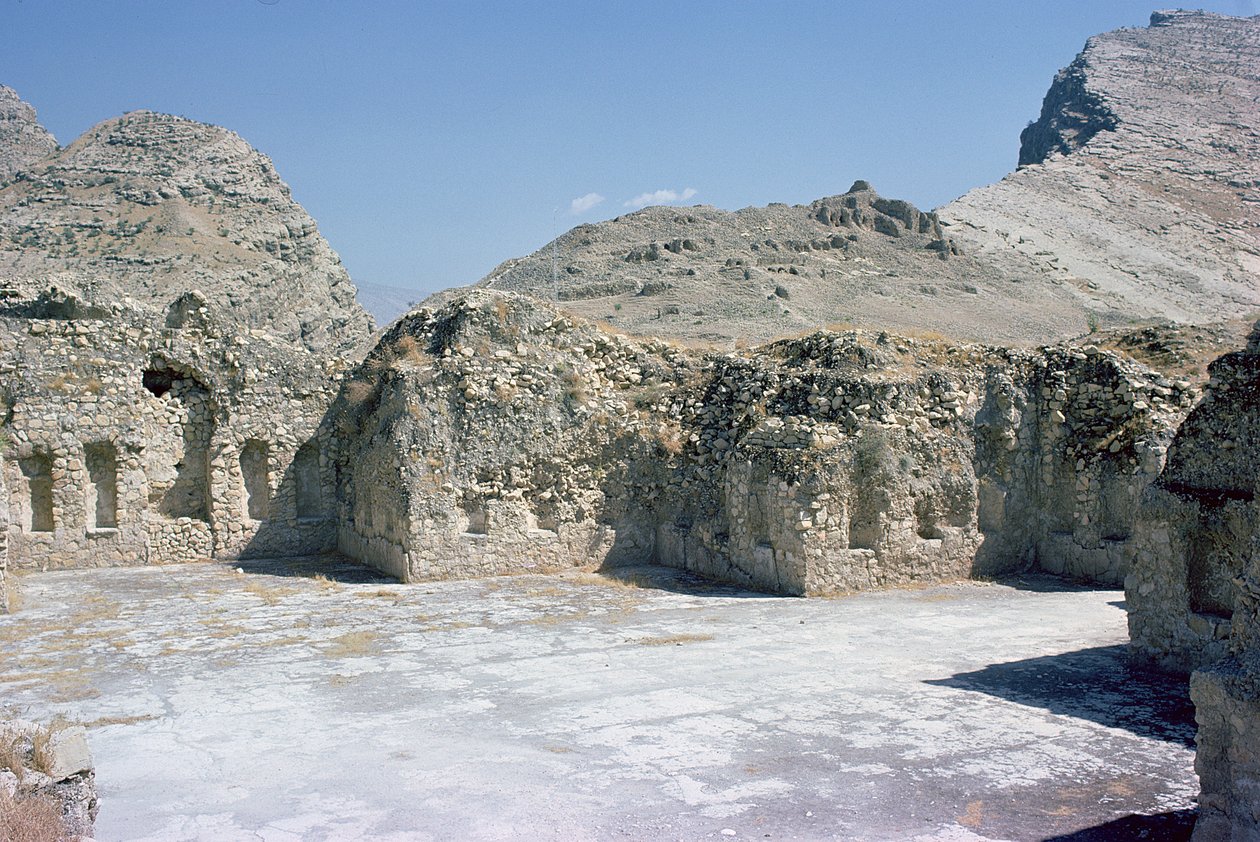 Ruins of the Palace of King Shapur I by Unbekannt
