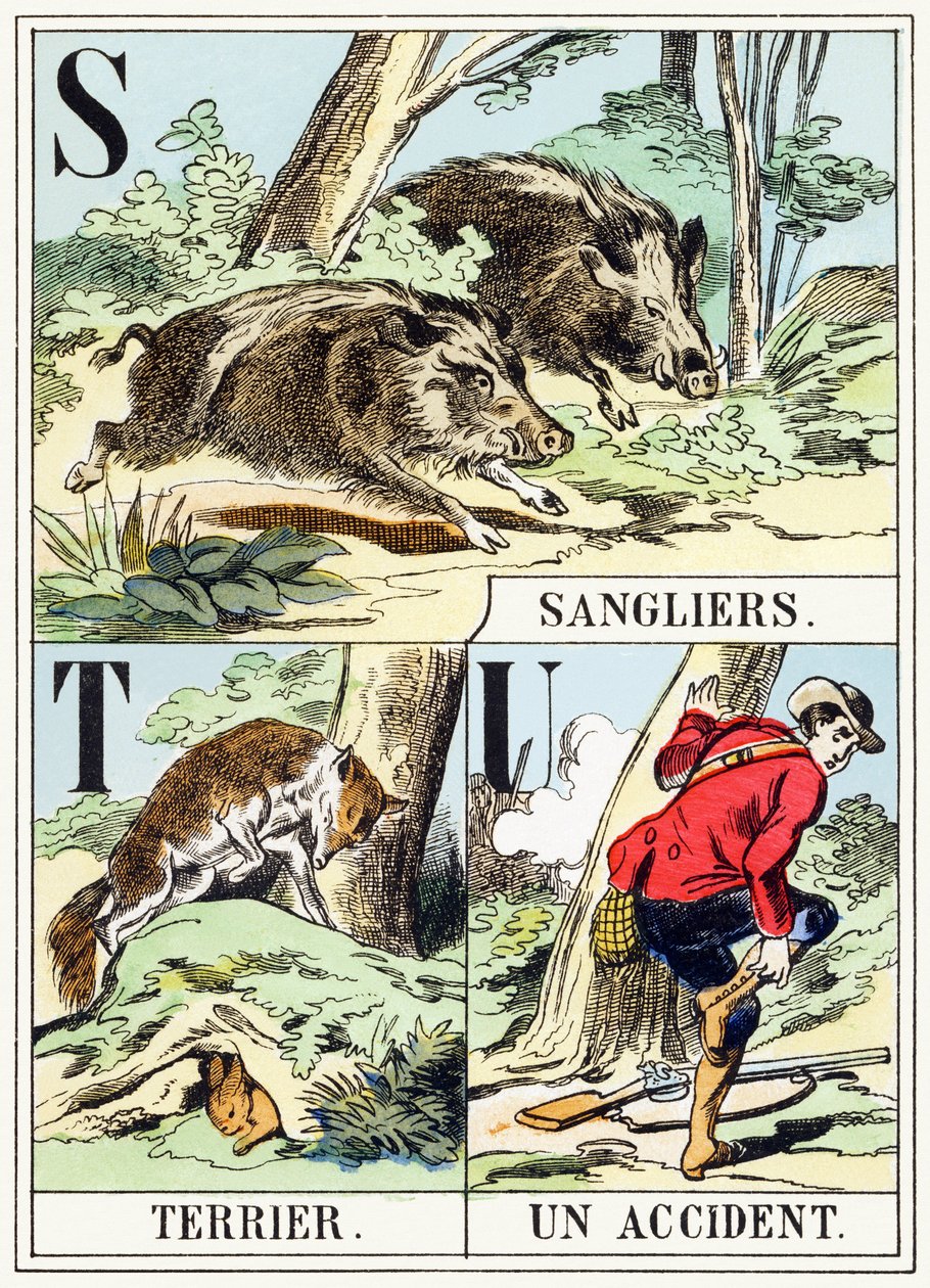 S T U: Boar, Terrier, An Accident - The Hunting Alphabet, c.1890 by Unbekannt