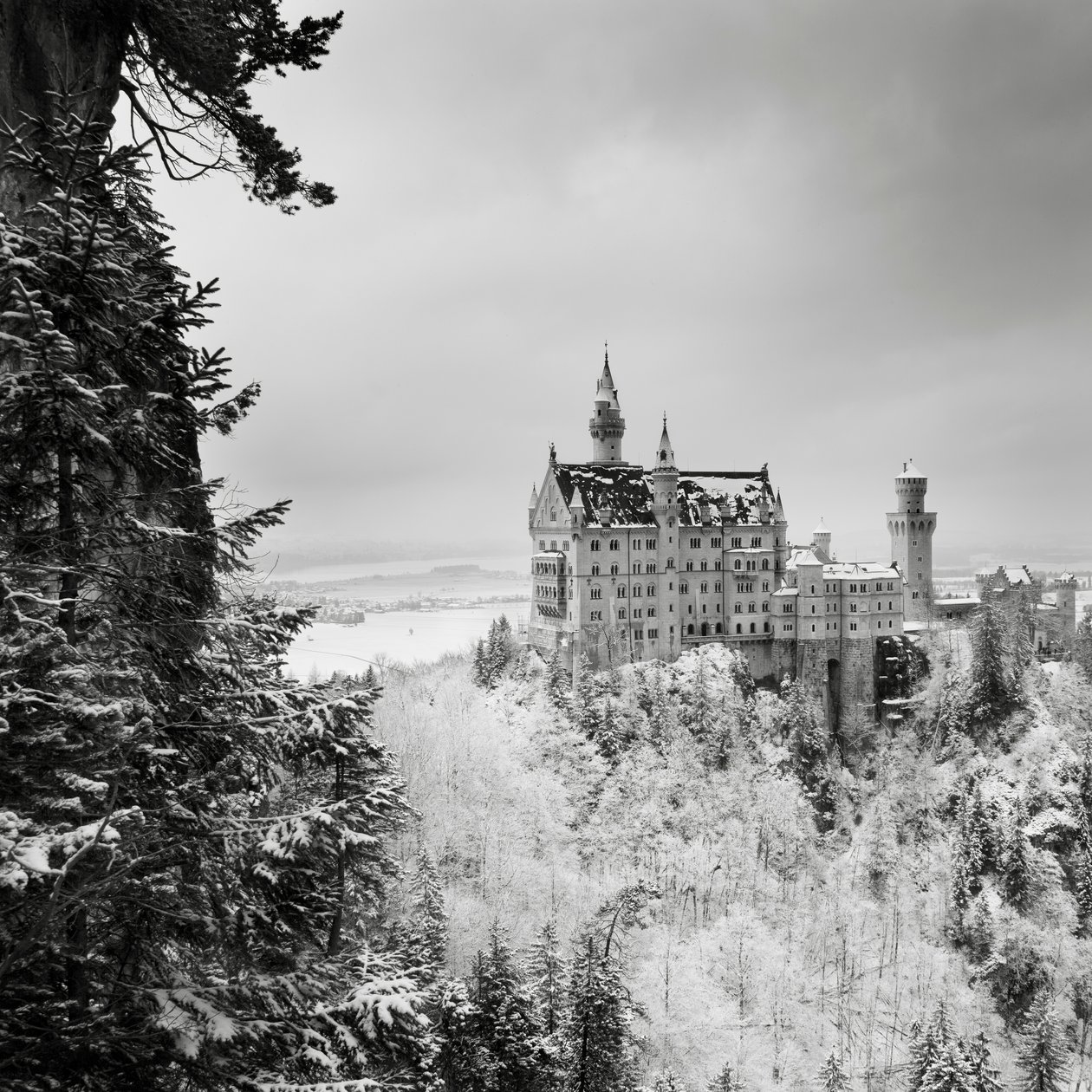 Schloss Neuschwanstein, Füssen, Germany, 2013 by Leopold Blonder