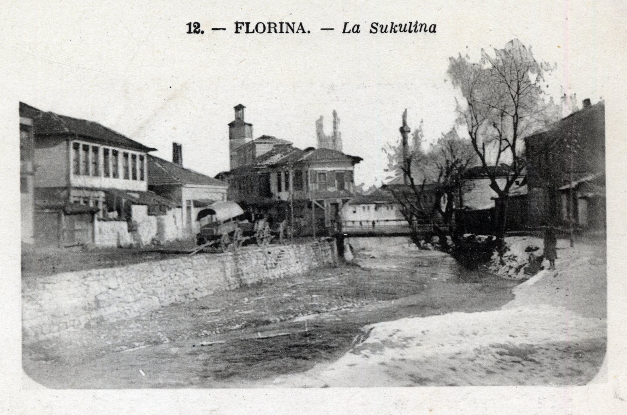 Florina: View of the Sukulina by William M. Timlin