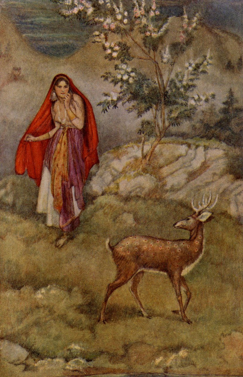 Sita Finding the Magic Deer by Unbekannter Künstler