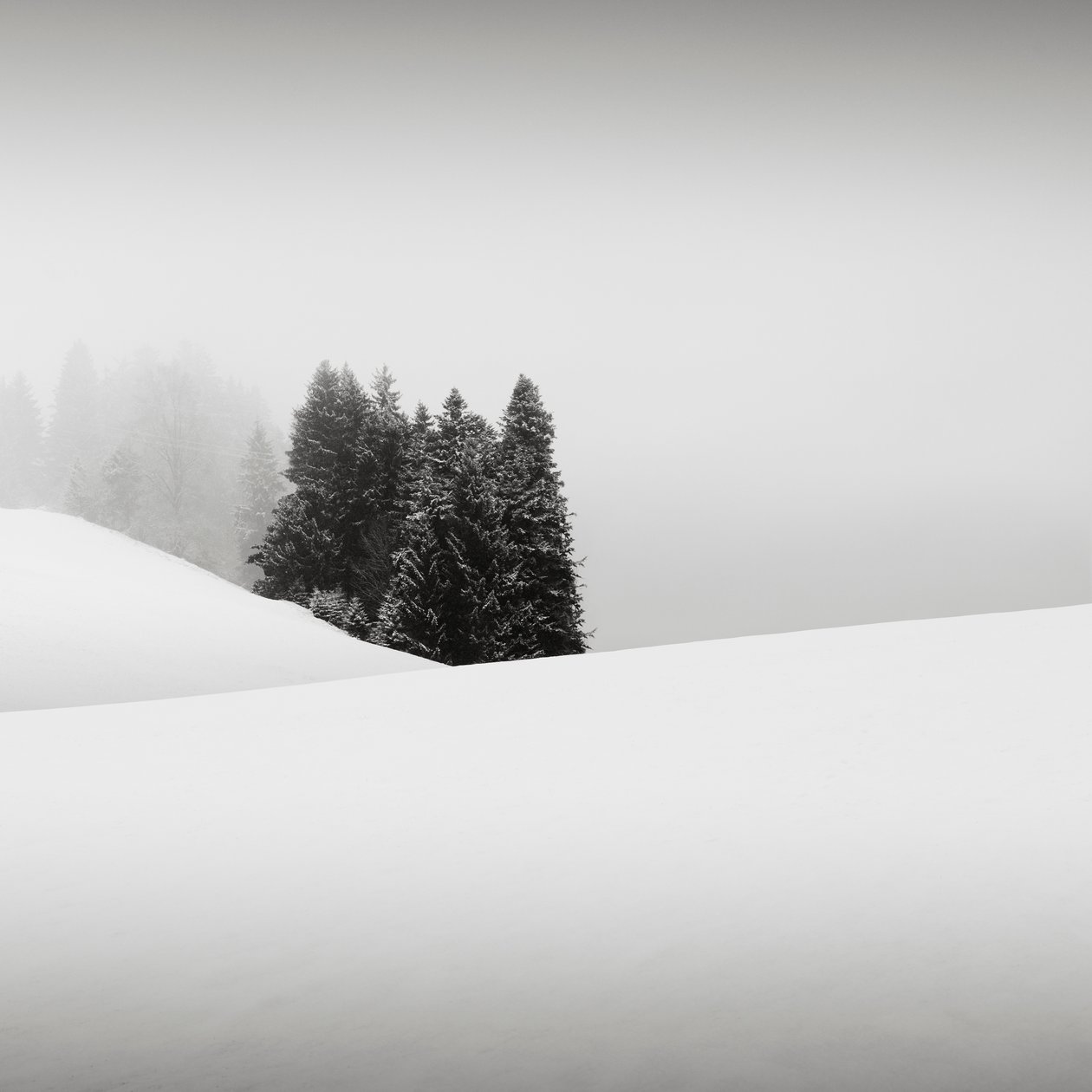 Snowytales Oasis, Bavaria, Germany, 2013 by Leopold Blonder