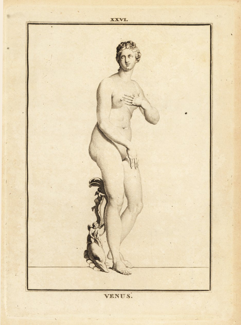 Statue of Venus, Roman Goddess of Love, Beauty, Sex and Fertility by Unbekannt