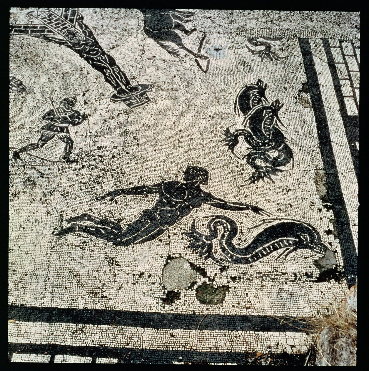 Swimming with the Dolphins, from the Frigidarium of the Baths at Ostia, 2nd Century AD by Unknown