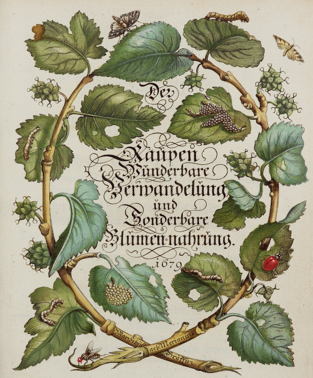Title Page from Natural History Book by Baron James de Rothschild