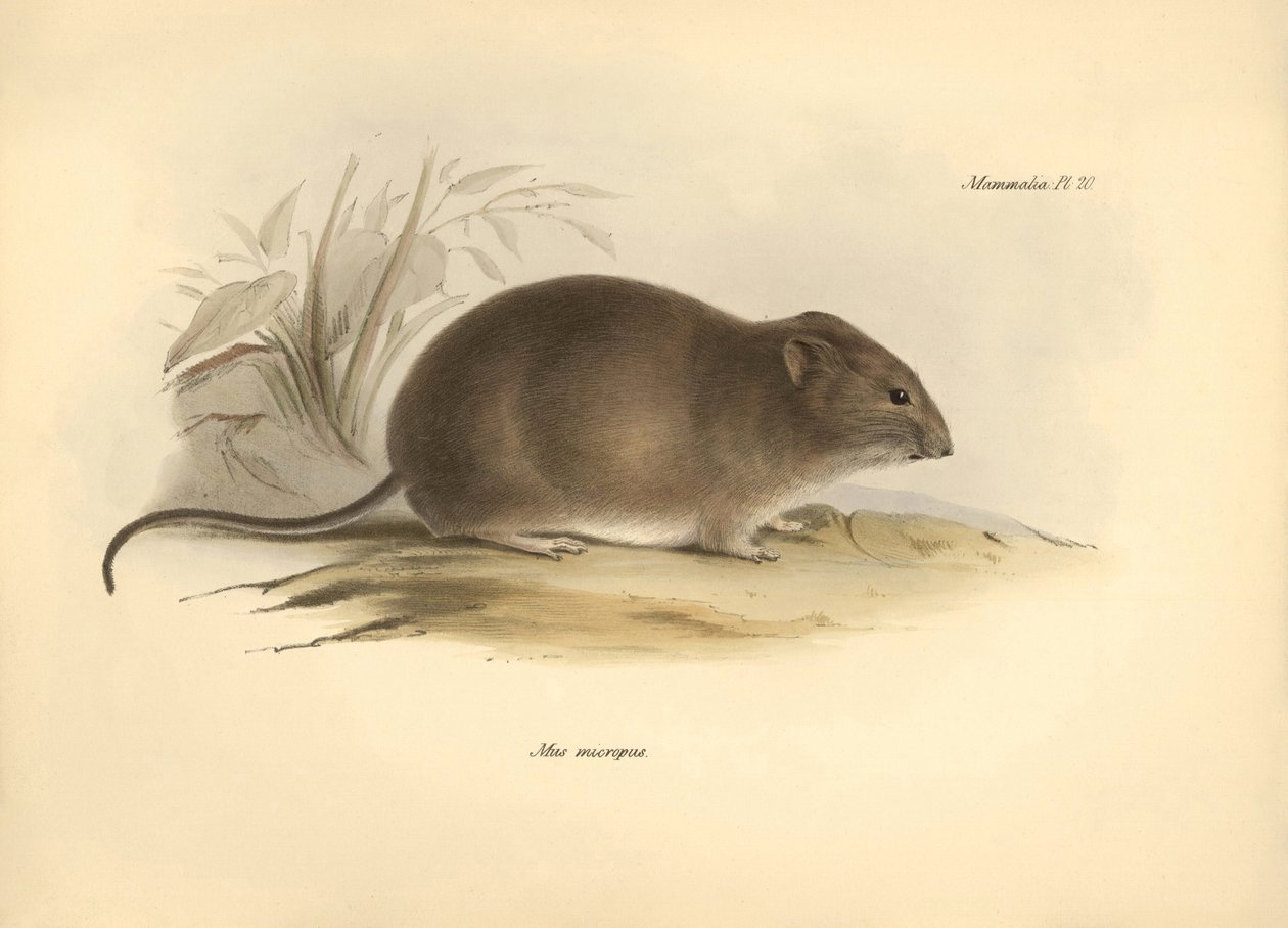 Zoology: the 