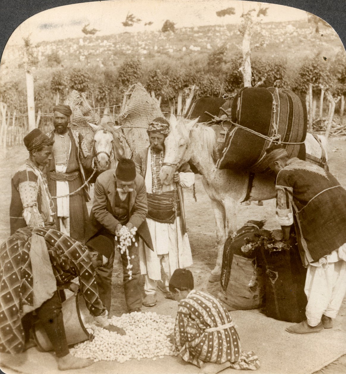 Experts Purchasing Silk Cocoons for Export to France, Antioch, Syria by Underwood and Underwood