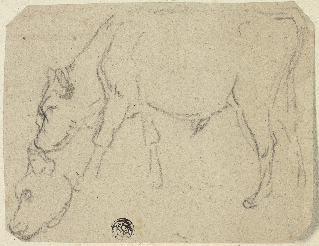Sketches of Grazing Bull, Cow
