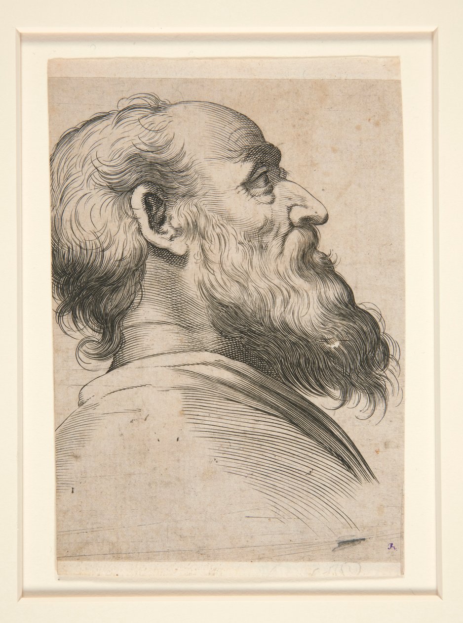 Untitled (Bearded Man, Looking Up to Left) by Unknown