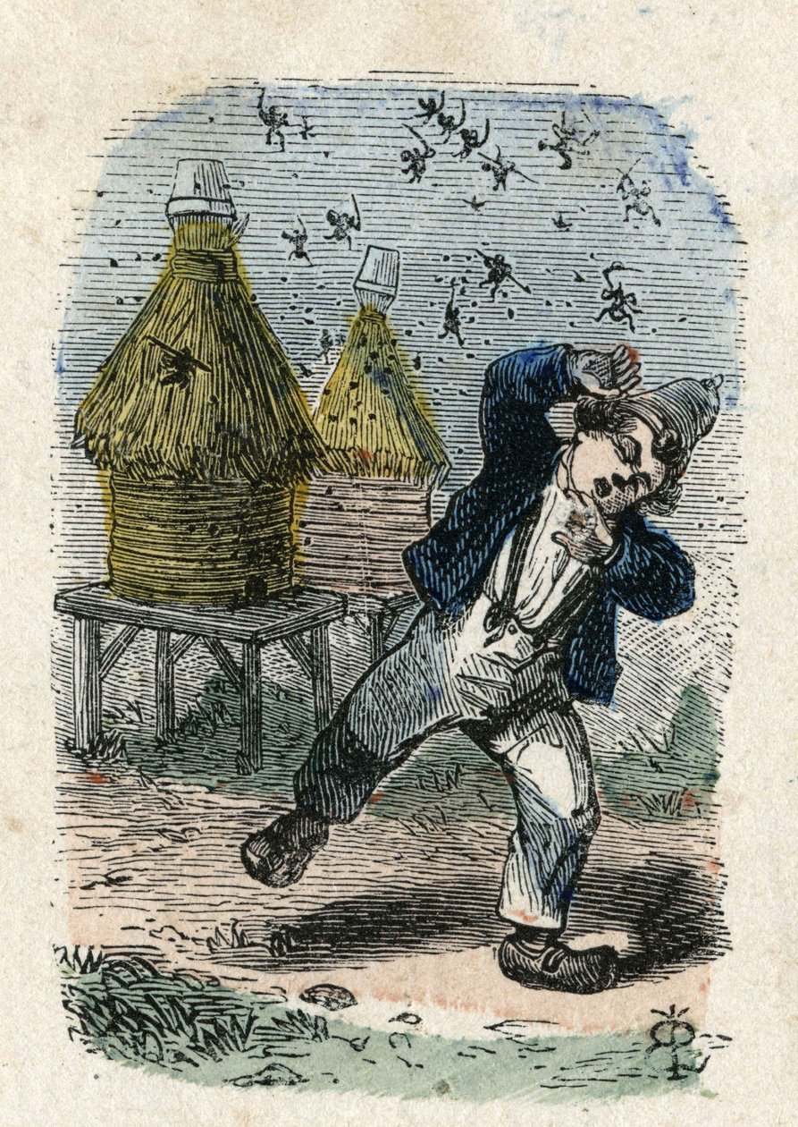 Bees Attack a Child Near Their Hive. Illustration 19th century. Bianchetti Collection by Unknown artist