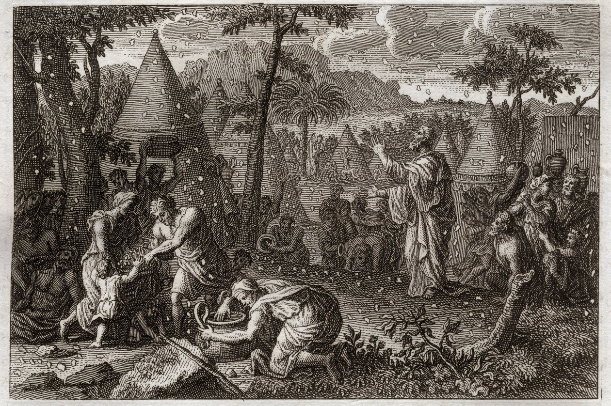Bible of Royaumont, Old Testament: Jews in the desert (or the gathering of manna). God causes manna to fall from heaven for forty years. Illustration from 1811. by Unknown artist
