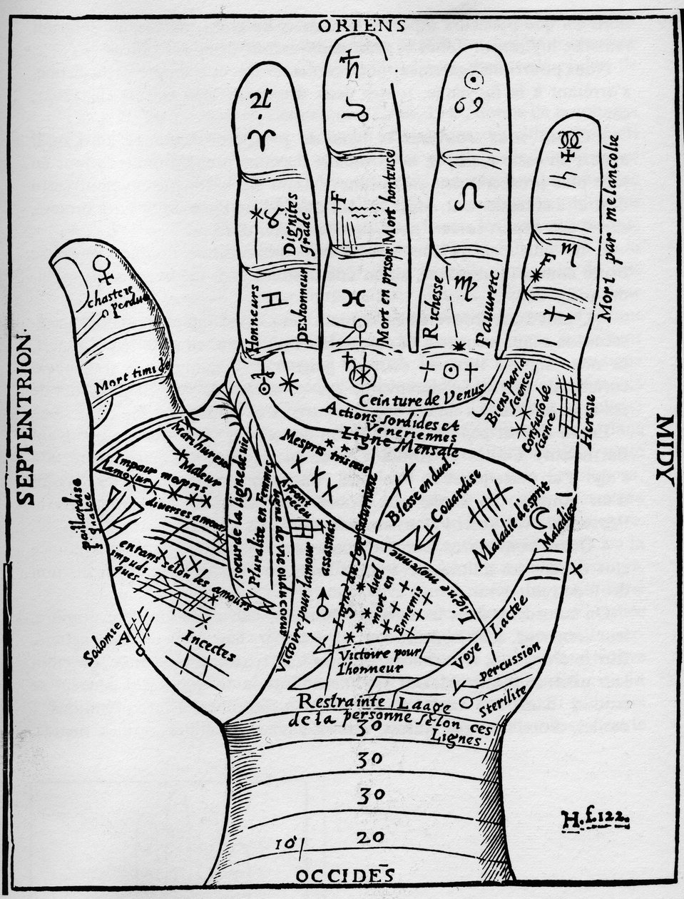 Chiromancy - Palmistry Chart - Planetary and Zodiacal Diagram of the Left Hand (Woodcut from Jean Belot