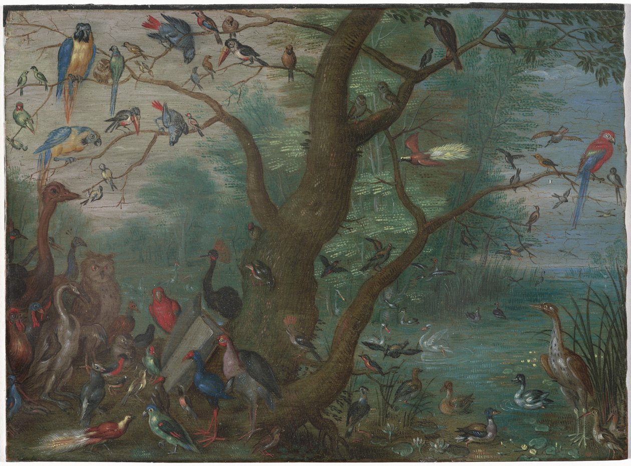 Concert of Birds by Unknown Artist