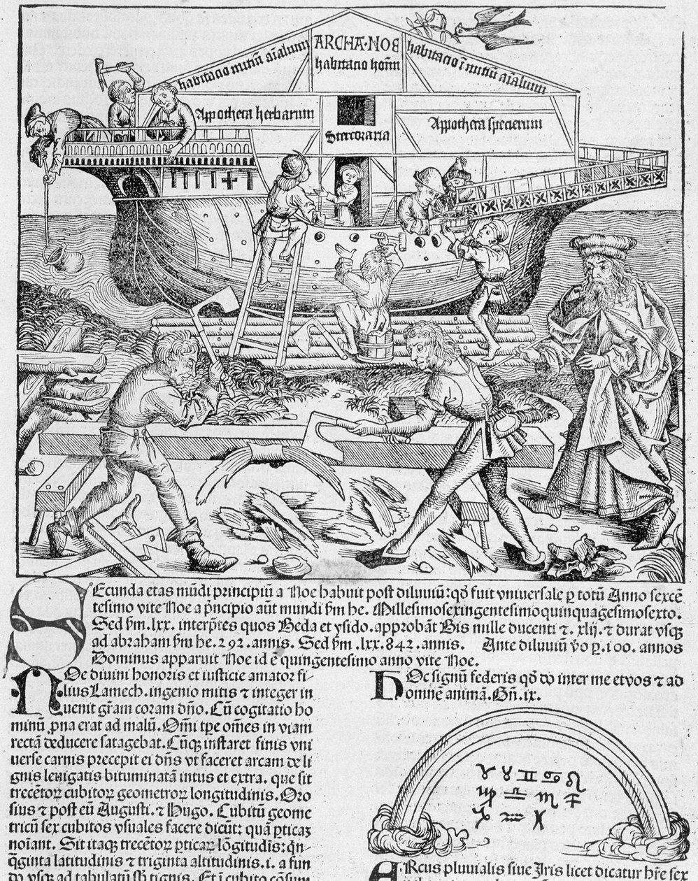 Construction of Noah