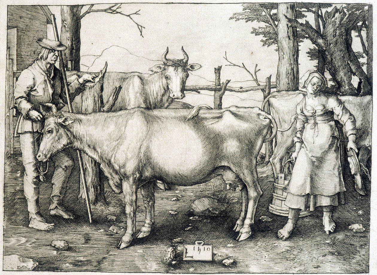 Cowl and dairy in Holland by Unknown artist