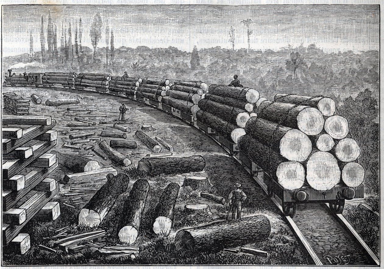 Exploitation of United States forests. Temporary railways with wooden track. Wagons carrying tree trunks. Engraving in 