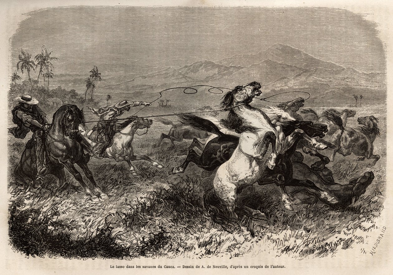 Herds of Mule and Horse Roaming in the Plains of Cauca by Unknown artist